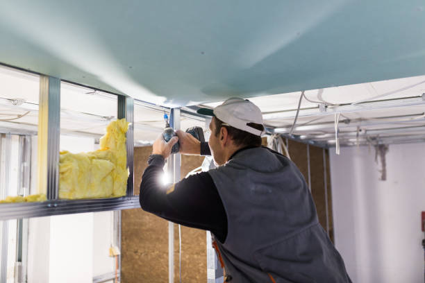 Types of Insulation We Offer in Newtown, PA